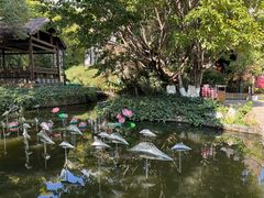 -云南民族村