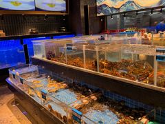 -青蓬蒸汽海鲜·深圳老字号·团建聚会(壹方城店)