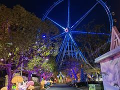 -锦江乐园舞狸花花游园会(夜场专享)
