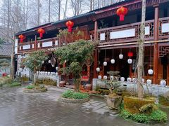 -青城甲(青城山店)