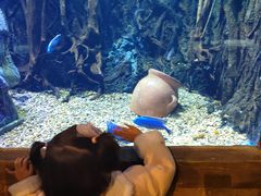 -华夏文旅海洋公园