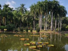 -中国科学院西双版纳热带植物园