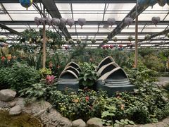 -南宫五洲植物乐园