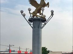 -胜华驾校·小猫学车(银都店)