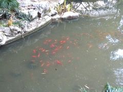 -汇龙潭