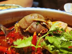 -红辣椒·川菜·火锅(张杨路店)