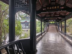 -桂湖森林公园