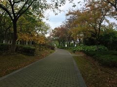 -白塘生态植物园