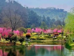 -牛首山文化旅游区