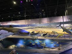 -武汉园博园(武汉自然博物馆)