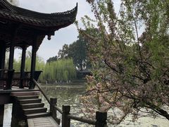 -桂湖森林公园