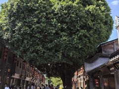 -三坊七巷历史文化街区