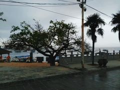 -抚仙湖禄充风景区