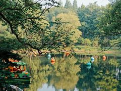 -共青国家森林公园-南大门停车场