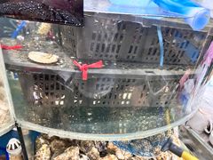 -鑫渔港海鲜本地菜·山海关浑锅(东戴河店)