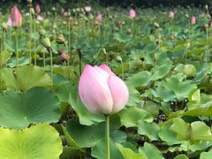 -常州奔牛国际机场