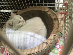 -熊猫邮局(少城店)