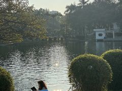 -晓港公园