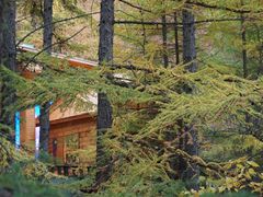 -苏木山森林公园