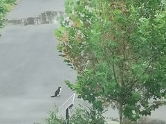 -北京京辉高尔夫俱乐部有限公司