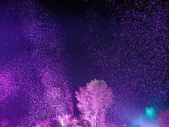 -常德桃花源景区