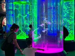 -海合安成都极地海洋公园