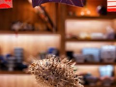 -天正河鲀·河豚亭(大连店)