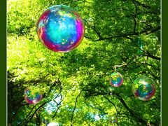 -上海共青森林公园