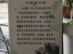 -仁信老铺(北滘店)