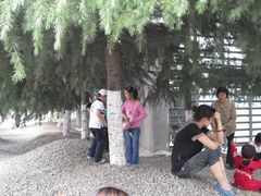 -侵华日军南京大屠杀遇难同胞纪念馆