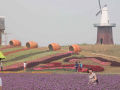 -金卉庄园