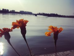 -白洋淀景区