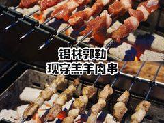 锡林郭勒现穿羔羊肉串-三个蒙古大叔羊肉串(大宁店)