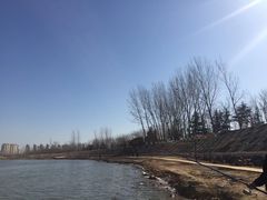 -沙颍河公园