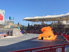 -大连海昌发现王国主题公园