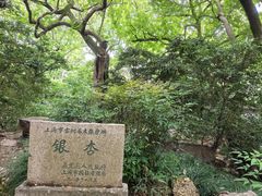 -秋霞圃