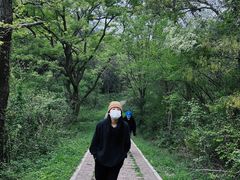 -青龙山国家森林公园