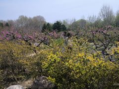 -郑州植物园