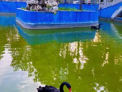 -保定市动物园