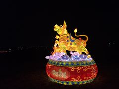 -空港花田景区