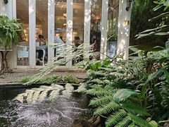 -Fern Forest Cafe