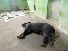 -石家庄市动物园