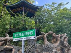 -本溪汤沟绿石谷森林公园