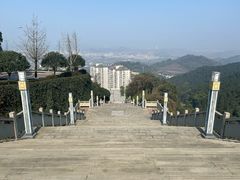 -铁山坪森林公园