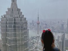 -上海柏悦酒店