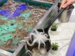 -初色海鲜自助(万丰路店)