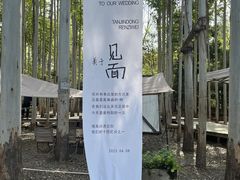 -桉树林A coffee 森林餐厅(三圣乡店)