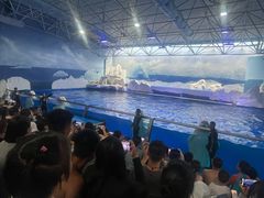 -秦皇岛乐岛海洋王国