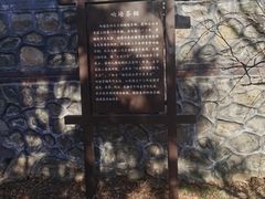 -阳台山自然风景区