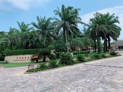 -三亚亚龙湾天域度假酒店